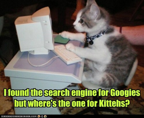 Did You Try Bing-O?