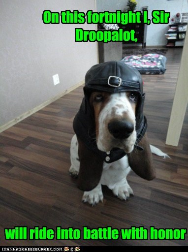 On this fortnight I, Sir Droopalot,
