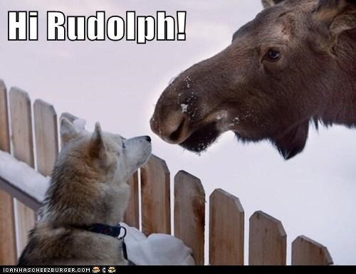 Hi Rudolph!