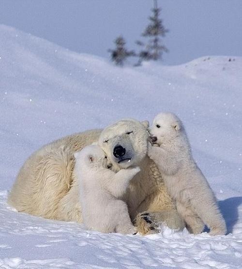 Squee Spree: Playing with Mom 