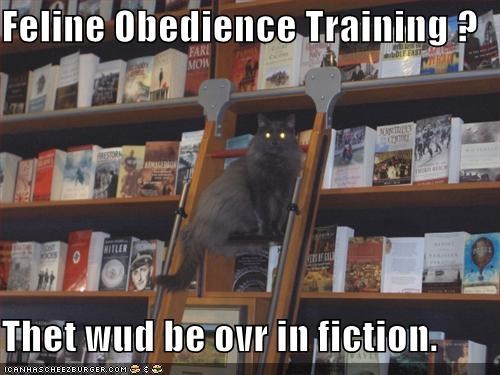 Feline Obedience Training ?  Thet wud be ovr in fiction.