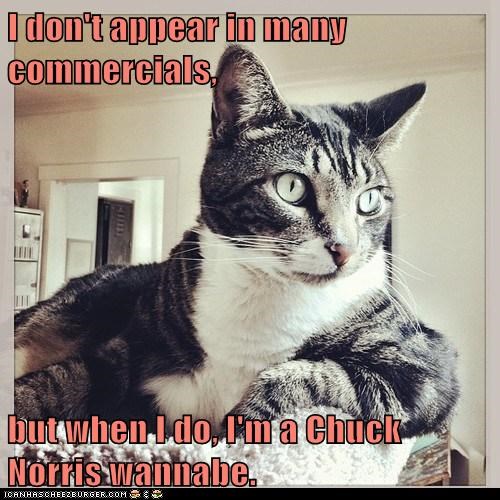 I don't appear in many commercials,  but when I do, I'm a Chuck Norris wannabe.