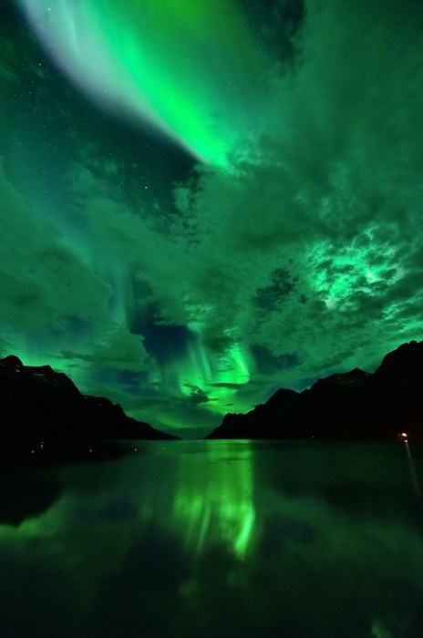 Too Green to be Real