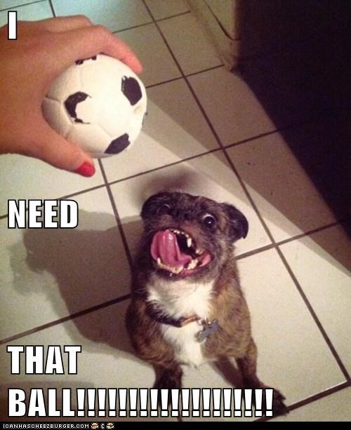 I  NEED THAT BALL!!!!!!!!!!!!!!!!!!!