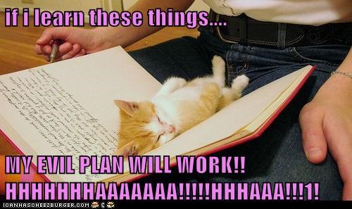 if i learn these things....  MY EVIL PLAN WILL WORK!!HHHHHHHAAAAAAA!!!!!HHHAAA!!!1!