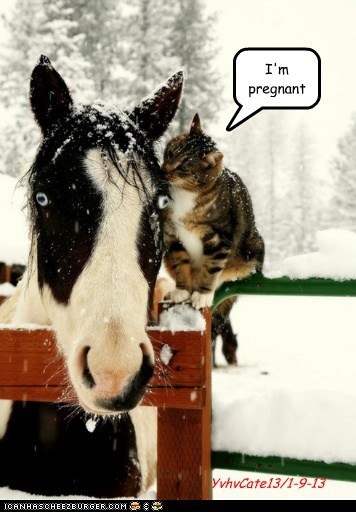 Preggers ...