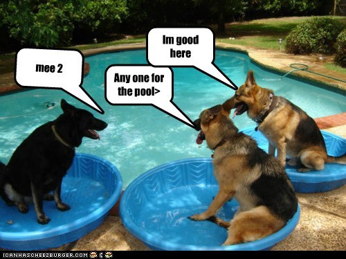 Any one for the pool>