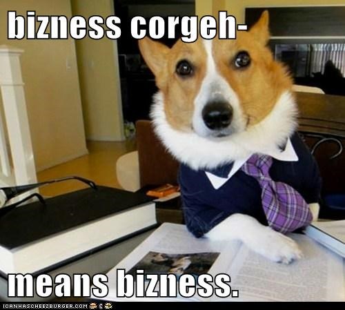 bizness corgeh-  means bizness.