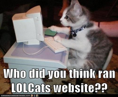Who did you think ran LOLCats website??