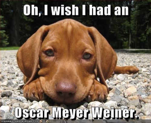 Oh, I wish I had an  Oscar Meyer Weiner.
