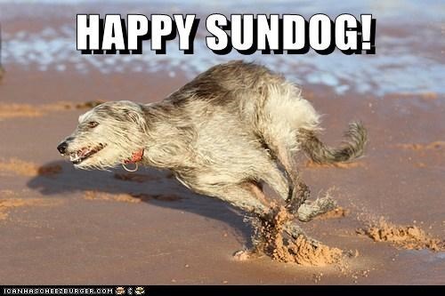 Happy Sundog! 