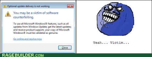 Software Counterfeiting