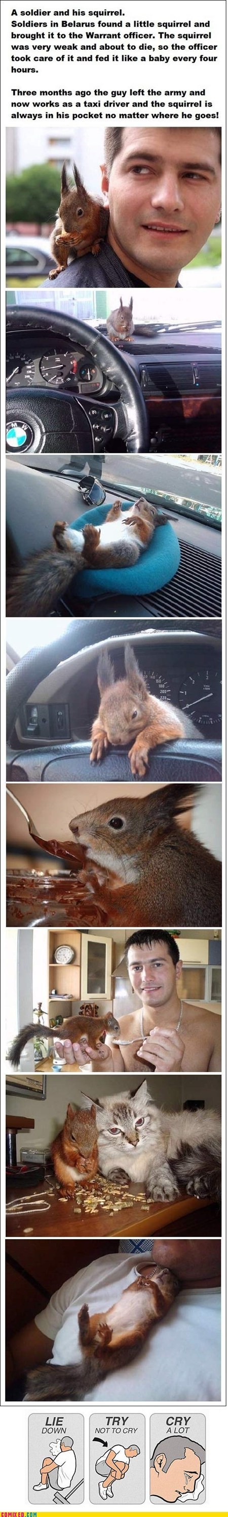 Try Not to Cry