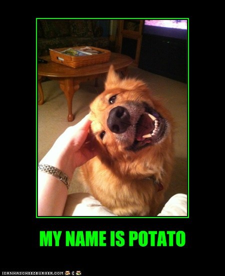 MY NAME IS POTATO