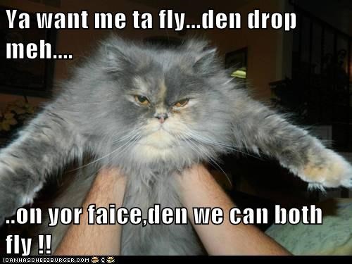 Ya want me ta fly...den drop meh....  ..on yor faice,den we can both fly !!