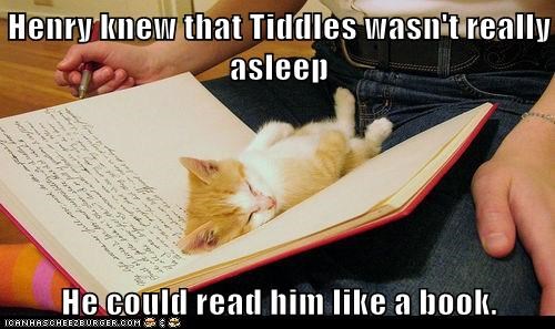 Henry knew that Tiddles wasn't really asleep  He could read him like a book.