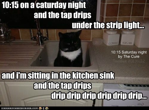 10:15 on a caturday night...