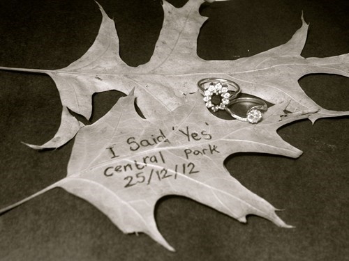 THAT POOR LEAF!