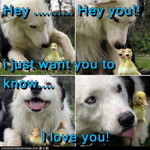 Hey .......... Hey you!! i just want you to know.... I love you!