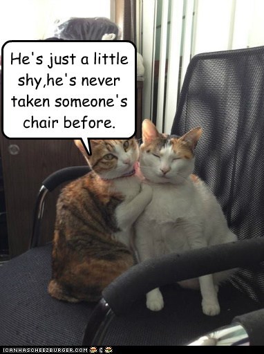 He's just a little shy,he's never taken someone's chair before.