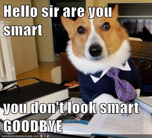 Hello sir are you smart  you don't look smart GOODBYE