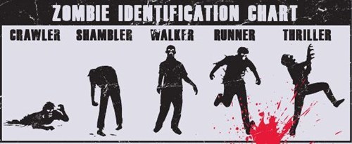 A Guide to Zombies