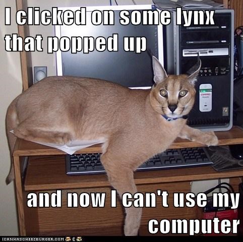 I clicked on some lynx that popped up  and now I can't use my computer
