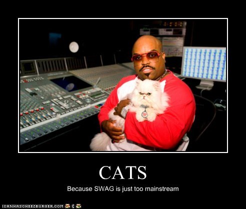 Cats