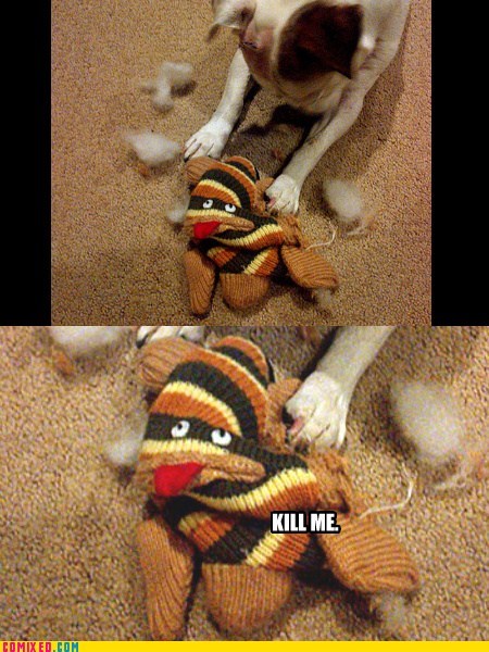 Poor Sock Monkey