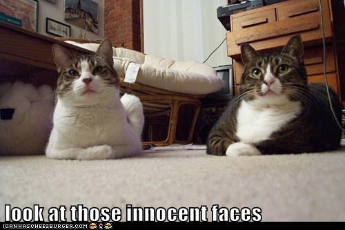 look at those innocent faces