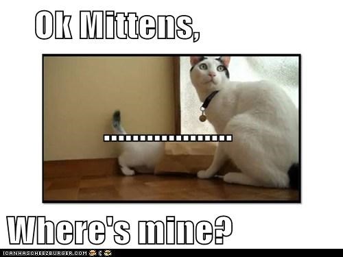 Ok Mittens,               .................. Where's mine?