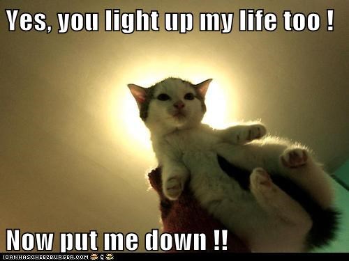 Yes, you light up my life too !  Now put me down !!