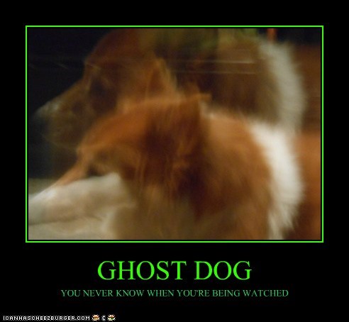 GHOST DOG