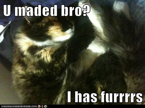 U maded bro?  I has furrrrs