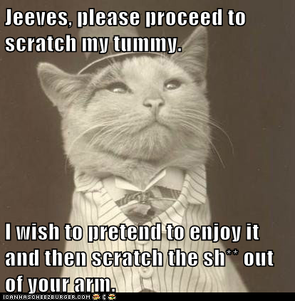 You've Earned Approximately Three Skritches 
