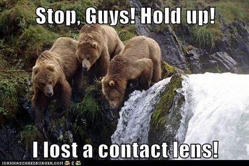 Stop, Guys! Hold up!   I lost a contact lens!