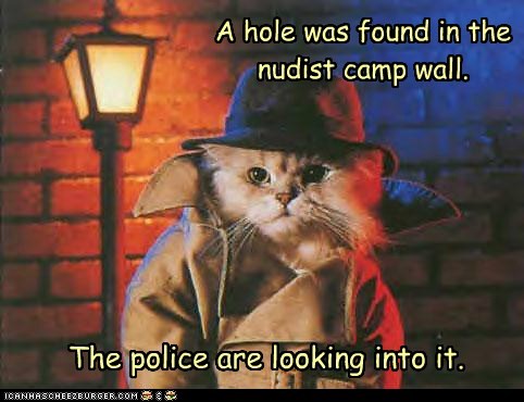 A hole was found in the nudist camp wall.