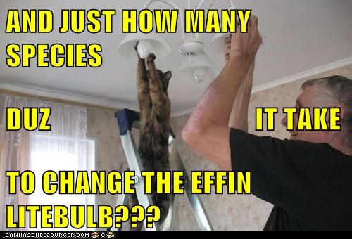 AND JUST HOW MANY SPECIES DUZ                                    IT TAKE TO CHANGE THE EFFIN LITEBULB???