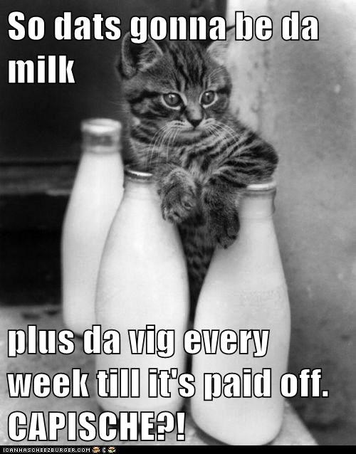 So dats gonna be da milk  plus da vig every week till it's paid off. CAPISCHE?!