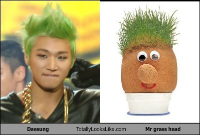 Daesung Totally Looks Like Mr. Grass Head