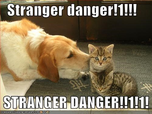 Stranger danger!1!!!     STRANGER DANGER!!1!1!