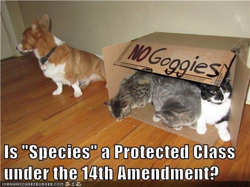Is "Species" a Protected Class under the 14th Amendment?