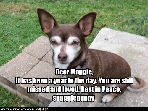 Remembering Maggie Mae