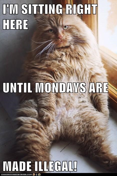 I'M SITTING RIGHT HERE UNTIL MONDAYS ARE MADE ILLEGAL!