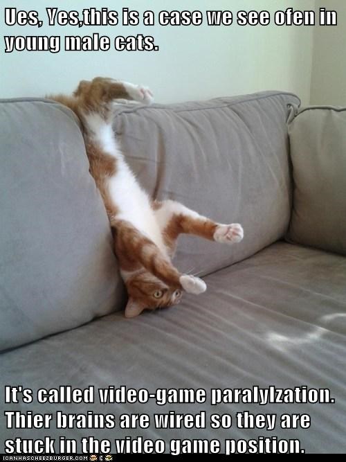 Ues, Yes,this is a case we see ofen in young male cats.  It's called video-game paralylzation. Thier brains are wired so they are stuck in the video game position.