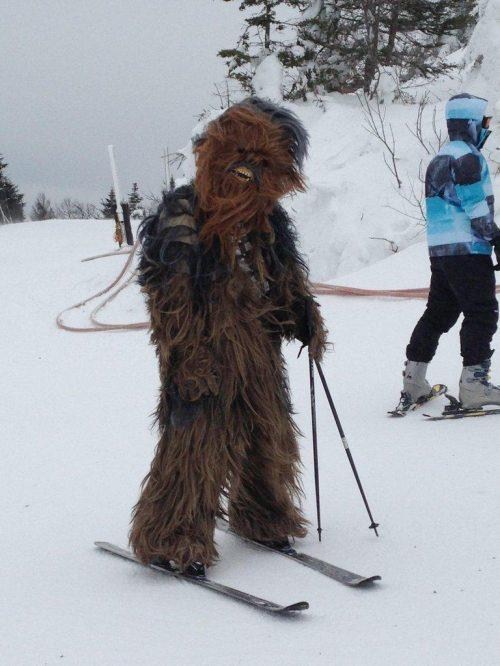 Wook-ski