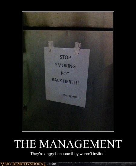 THE MANAGEMENT