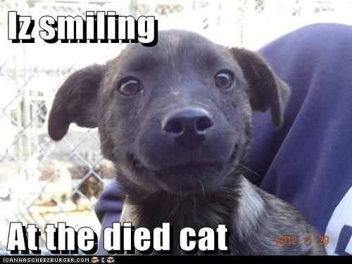 Iz smiling  At the died cat