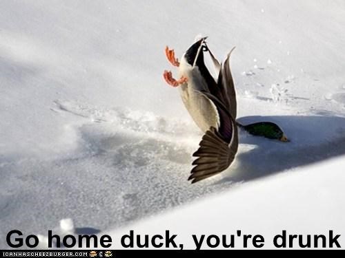 Don't Drink and Fly