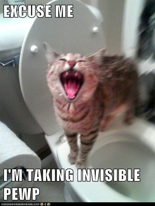 EXCUSE ME  I'M TAKING INVISIBLE PEWP